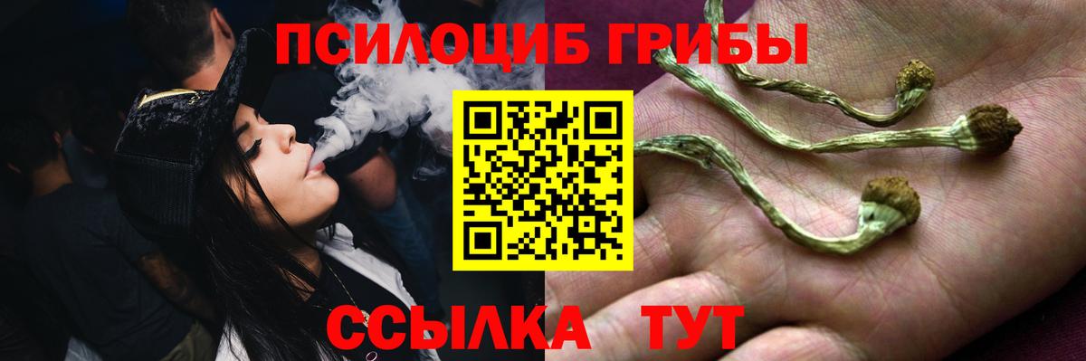 Псилоцибиновые грибы прущие грибы  Псилоцибиновые грибы Psilocybine cubensis  Полевской  Вход с VPN 