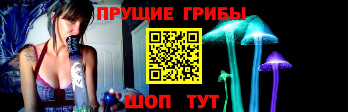 Галлюциногенные грибы Cubensis Полевской